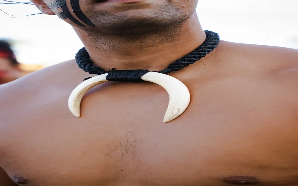 The Wild Boar Tusk: Symbol in Polynesian Culture