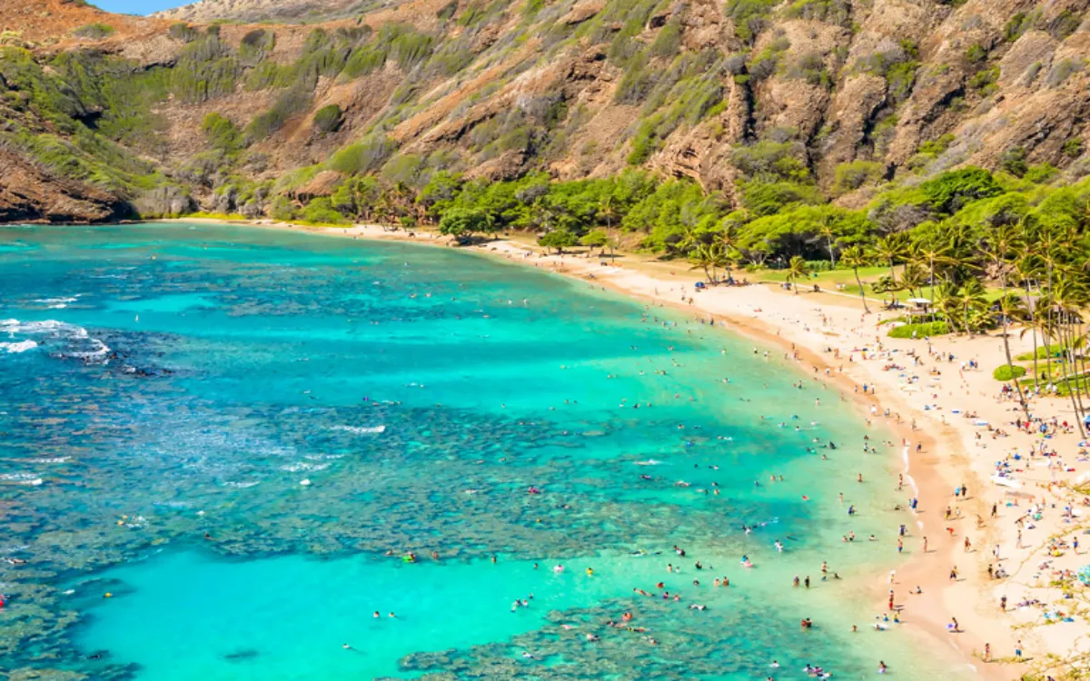 hanauma-bay-snorkeling-header-767x520-fotor-20250810172511