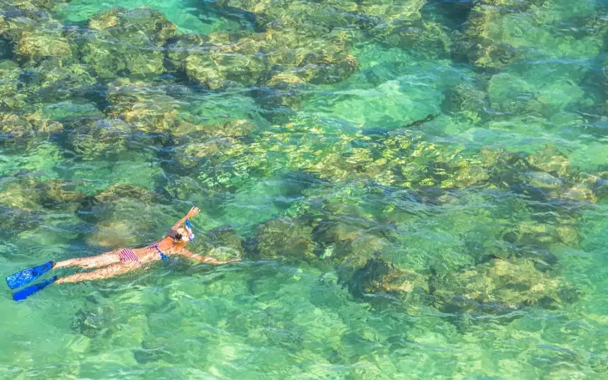 HanaumaBay_Snorkeler_Oahu_Hawaii_shutterstock_654464764-fotor-20250810172215