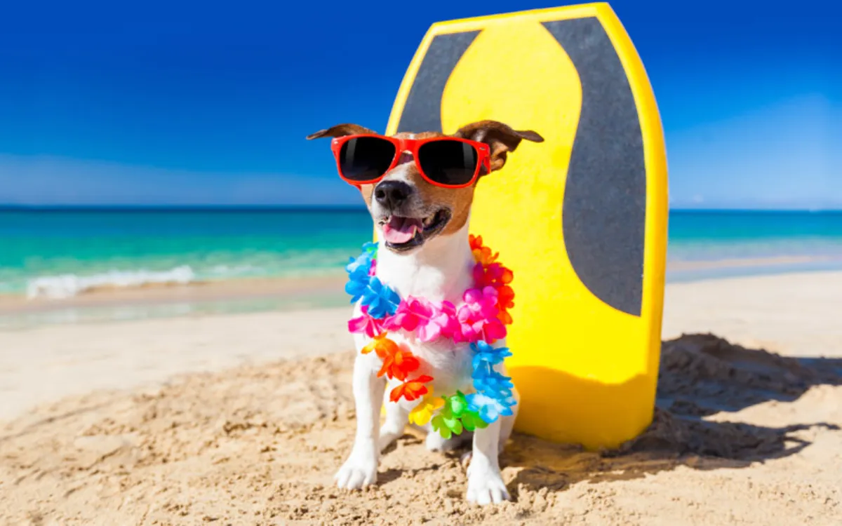 Hawaii-Pets-fotor-20250818232952