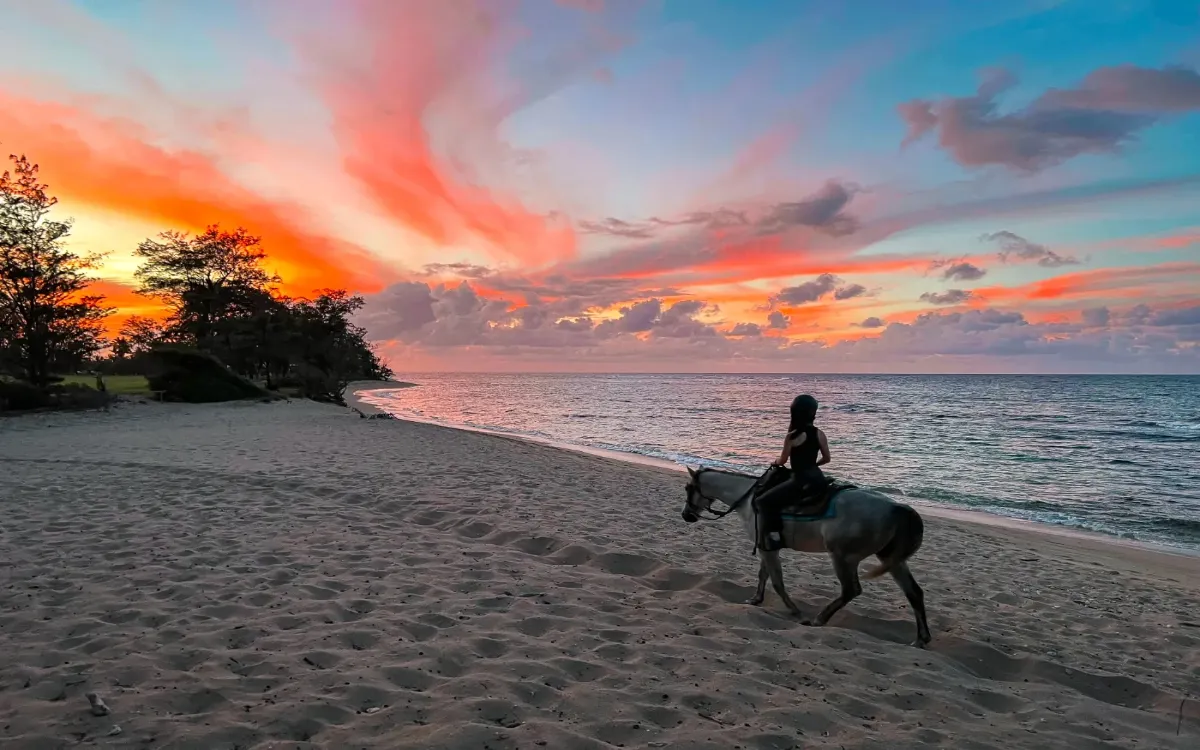 hawaii polo -fotor-20250821141