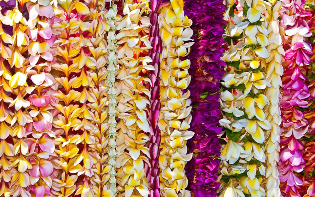 hawaiian-plumeria-leis-angelina-hills-16791287491711733162627-fotor-20250826191013