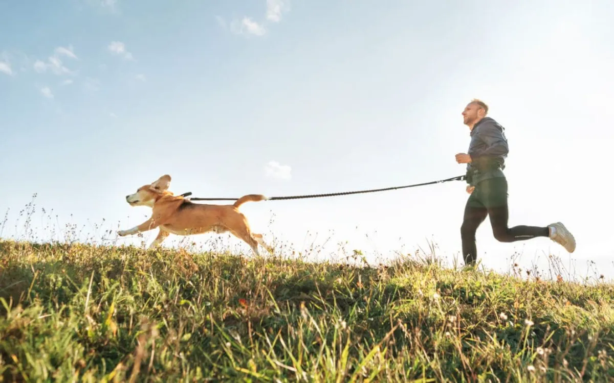 iStock-1146060904-1080x675-fotor-2025081823307