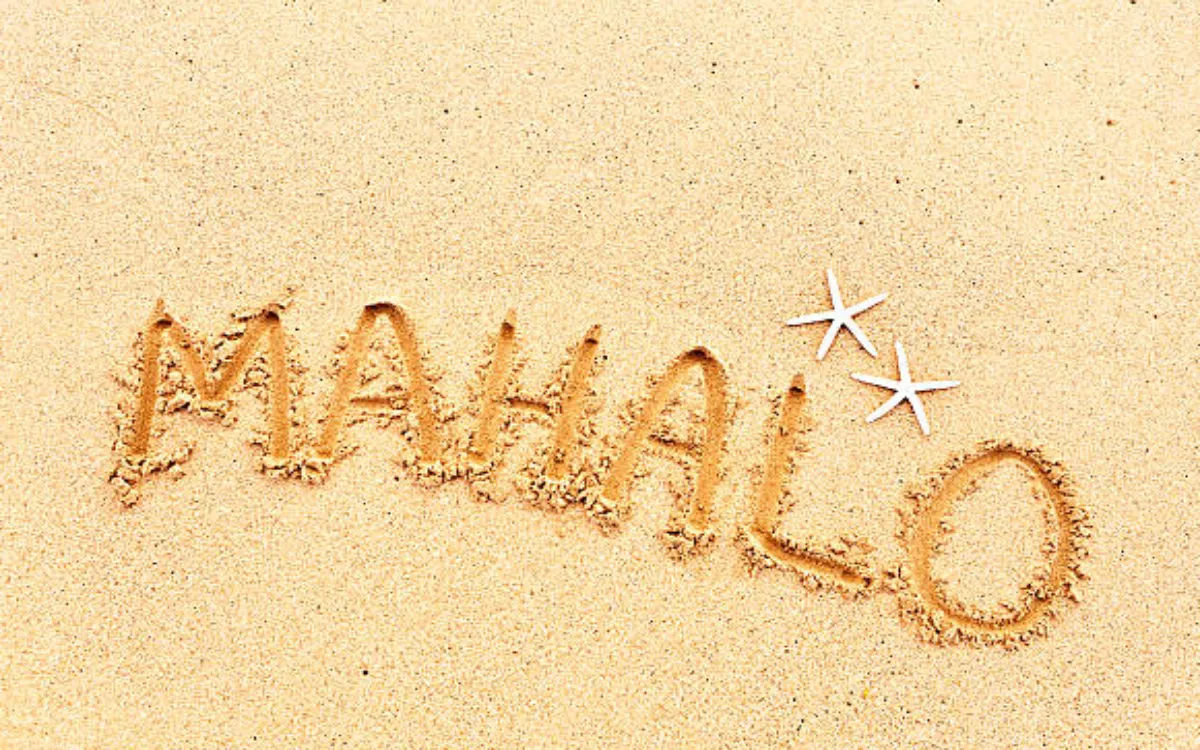 istockphoto-482704164-612x612-fotor-2025080501748