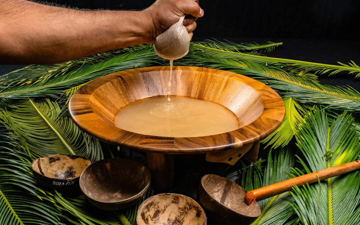 What Is Kava? Where to Try Kava?