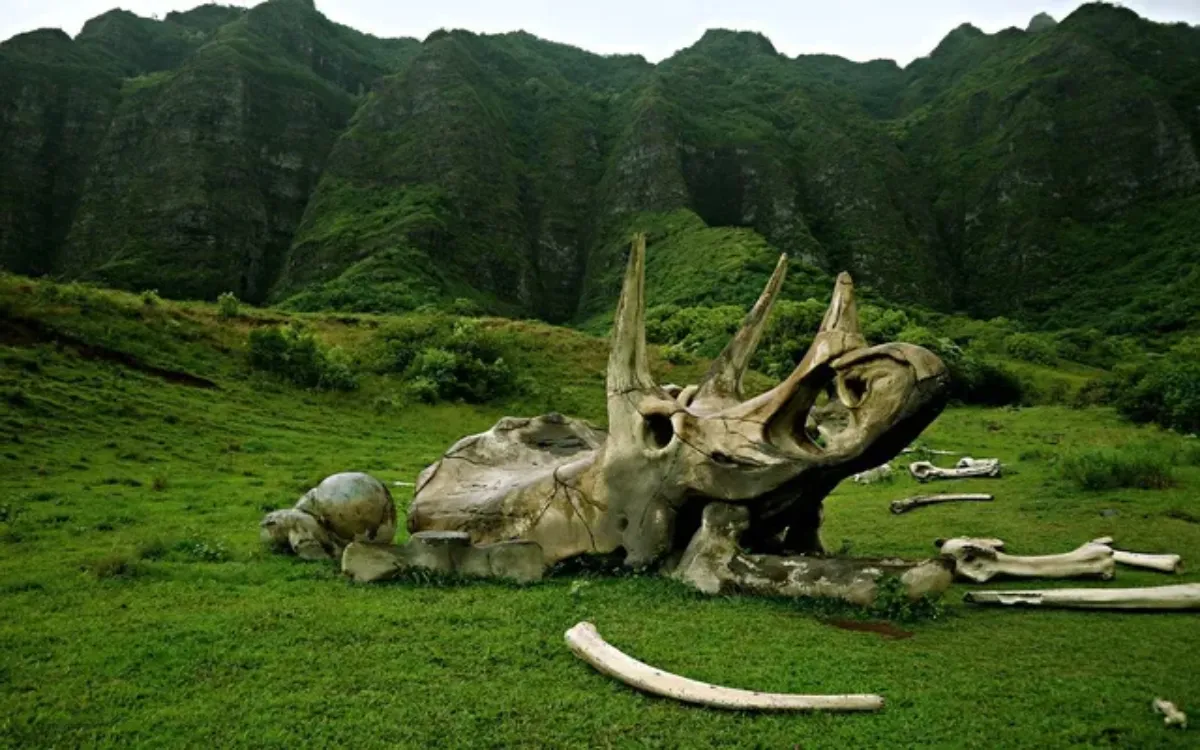 Kualoa Valley1-fotor-202508143023