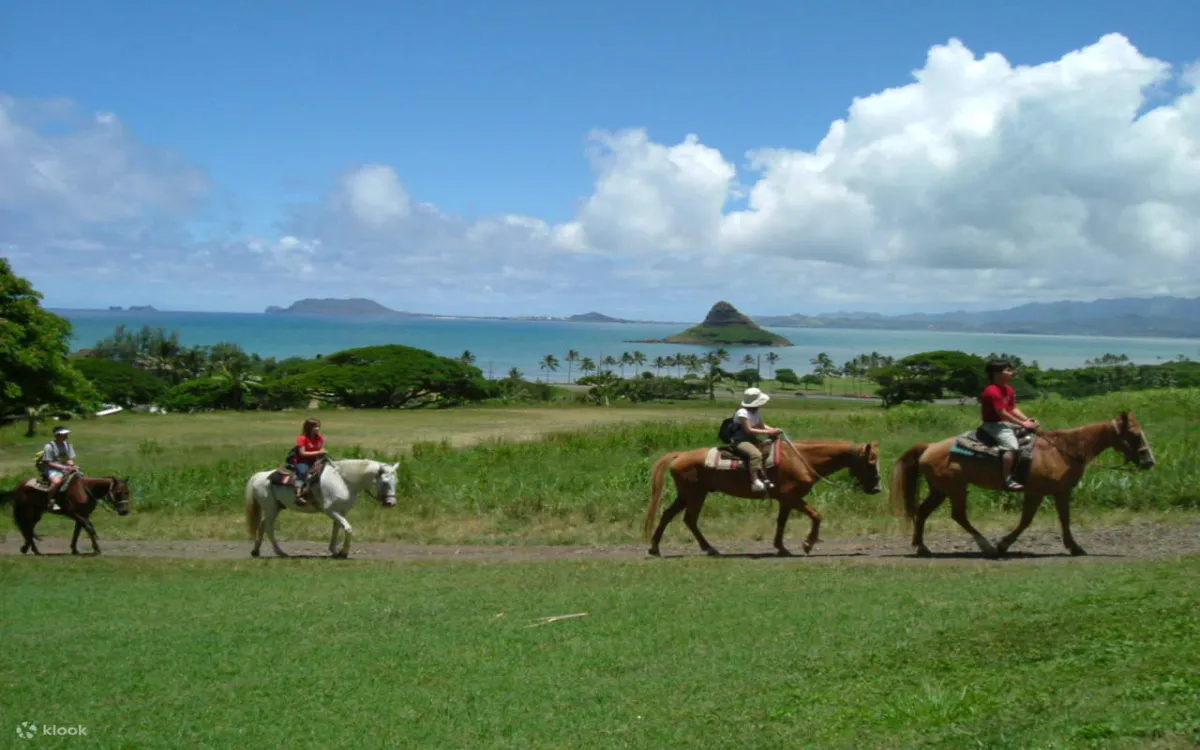 KualoaJurassicValleyCưỡingựaởHawaii-KlookViệtNam-fotor-202508143046