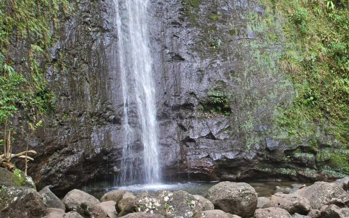 Manoa-Falls-Hike-Oahu-fotor-2025073023257