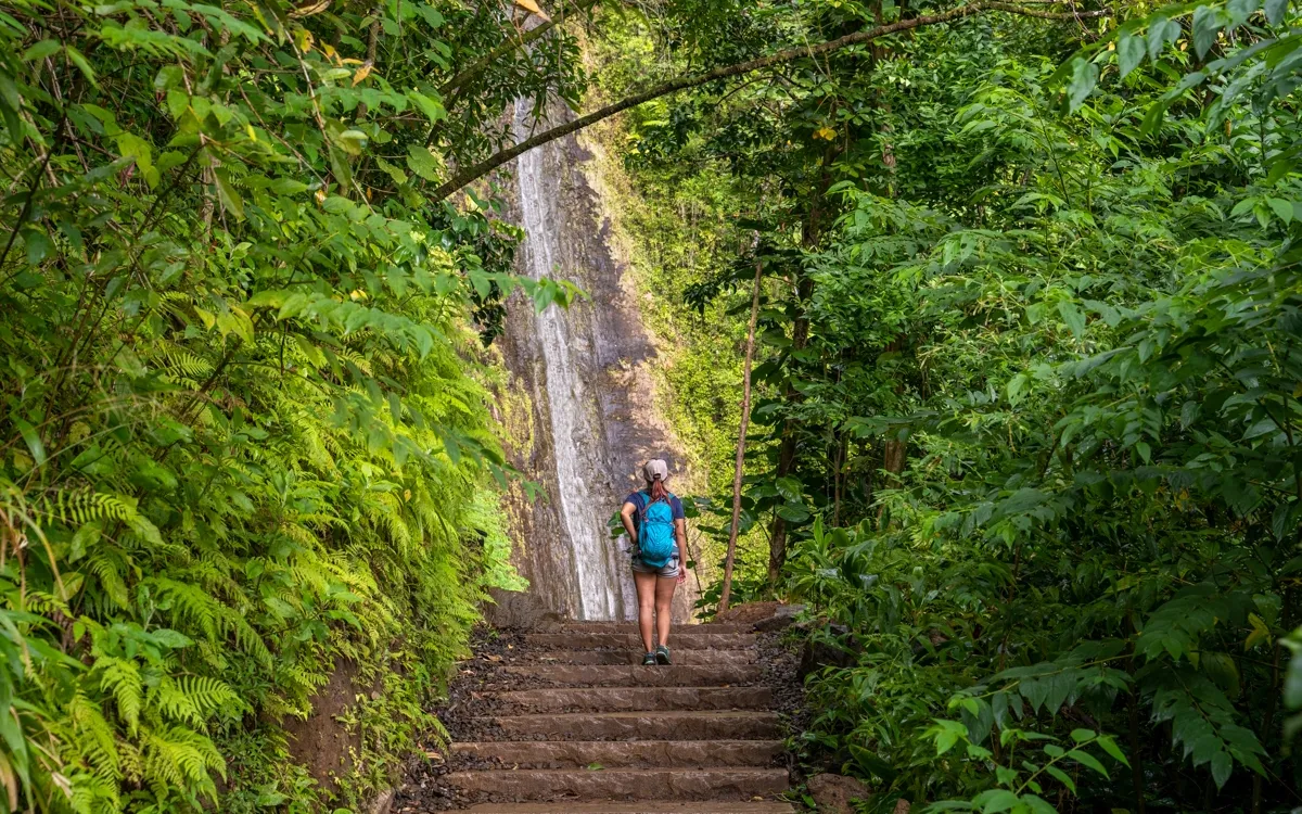 manoa -fotor-20250802215959