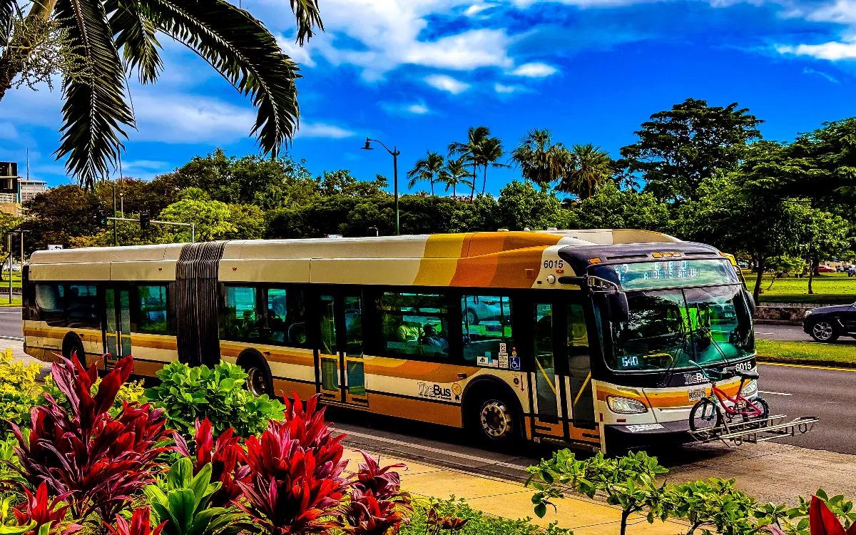 modes-of-transit-in-honolulu-hawaii-v0-6lmh02exqeie1-fotor-20250805233719
