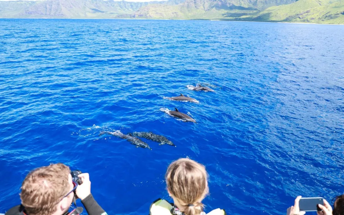 oahu-dolphin-watching-with-lunch-and-ocean-sports-2016052-fotor-2025081101043