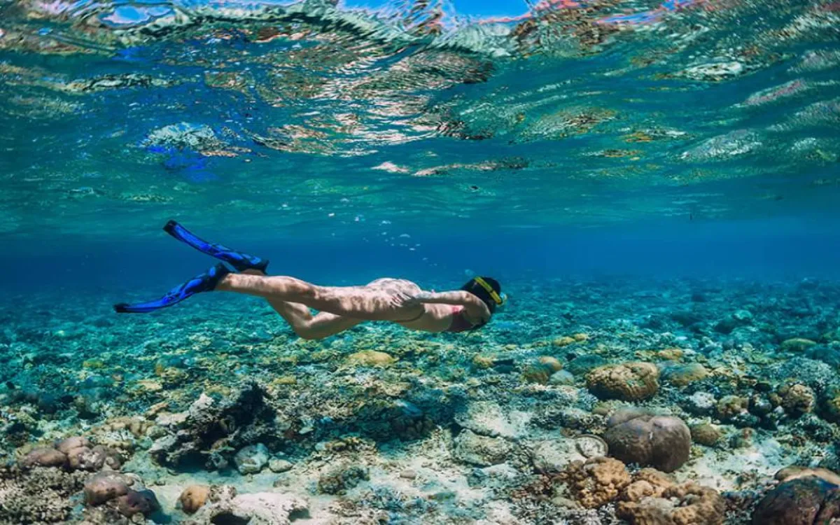 Snorkeling-1 kahe point-fotor-20250810172339