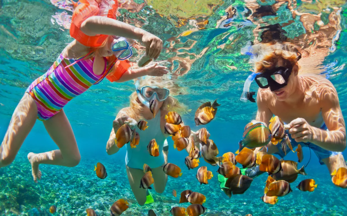 swimming snorkeling -fotor-2025073021371