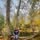 avater